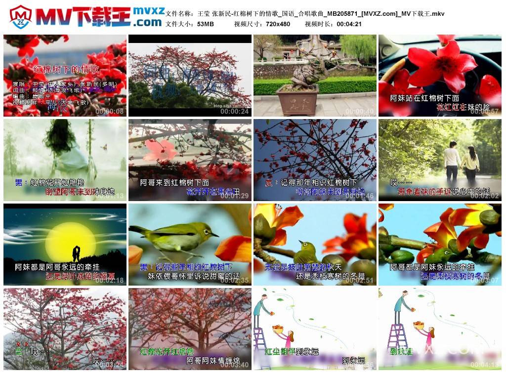 王莹 张新民-红棉树下的情歌_国语_合唱歌曲_MB205871